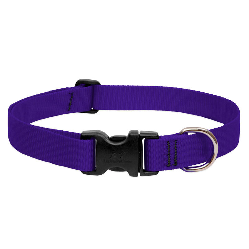 BASICS Adjustable Collar PURPLE 1/2" FOR SMALL DOGS - 6"-9"