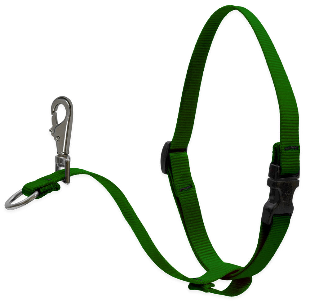 BASICS 1" NO-PULL HARNESS 26-38 - Green