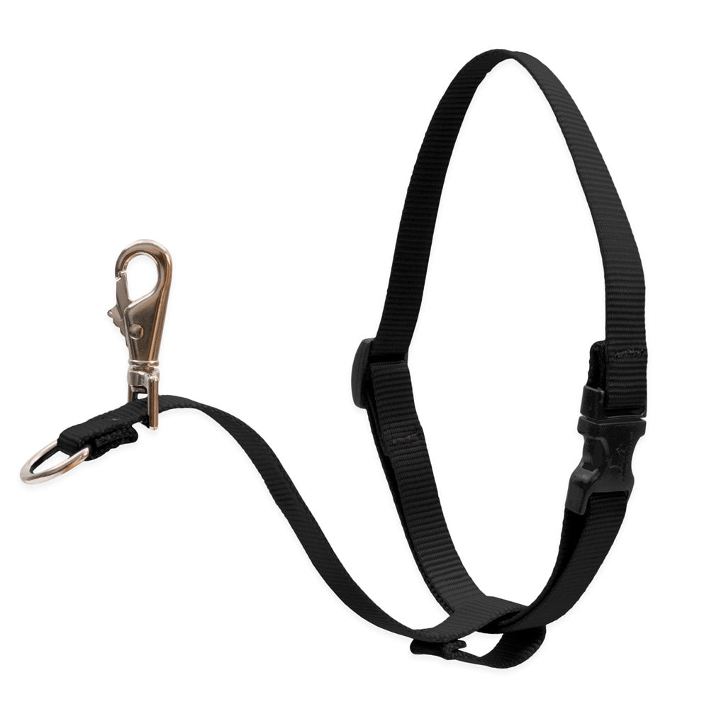 BASICS 1" NO-PULL HARNESS 26-38 - Black