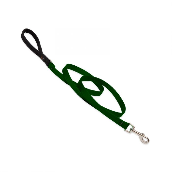 Basic Solids Padded Handle Dog Leash 4ft - 1/2" wide, Green
