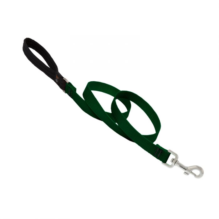 Basic Solids Padded Handle Dog Leash 4ft - 3/4" wide, Green