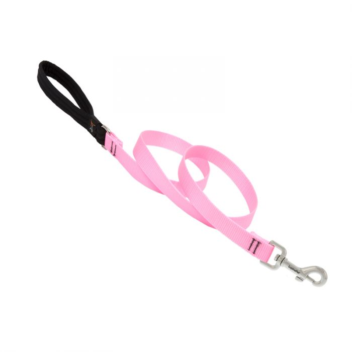 Basic Solids Padded Handle Dog Leash 4ft - 3/4" wide, Pink