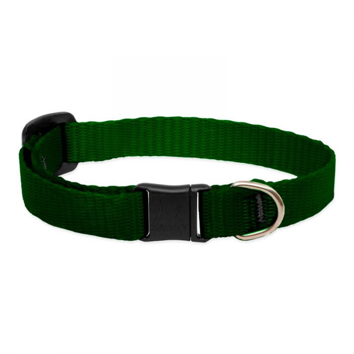 Basic Solids Safety Cat Collar - Green