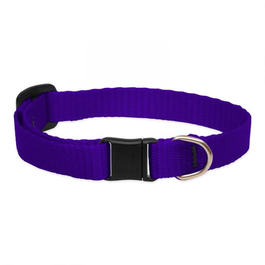 Basic Solids Safety Cat Collar - Purple