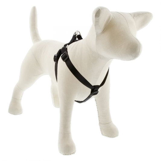 Medium Dog Basics Step In Harness 3/4" - 15"-21", Black