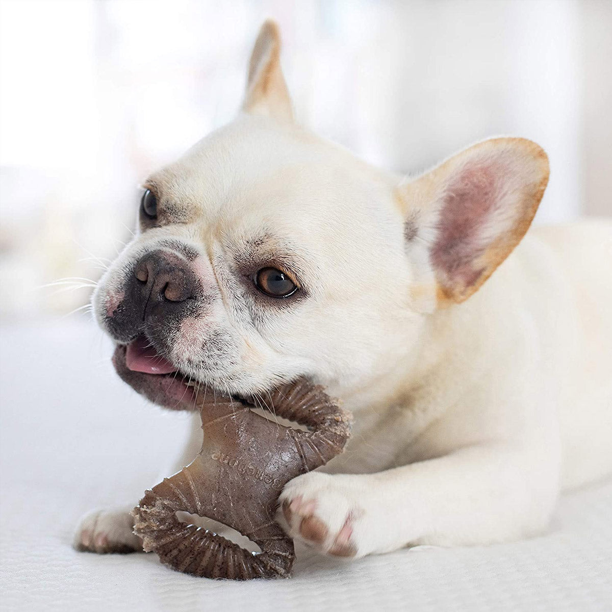 Benebone 2-Pack Dental Chew, Wishbone(Tiny) - Bacon