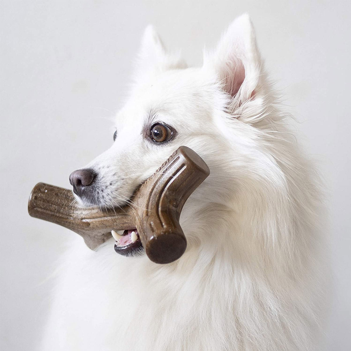 Benebone Bacon Stick Dog Chew Toy