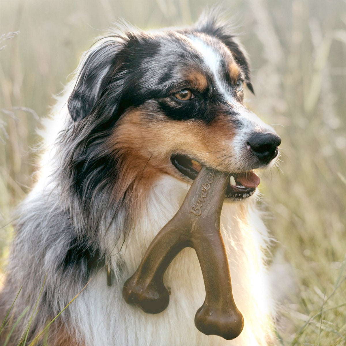 Benebone Wishbone Dog Chew Toy - Bacon