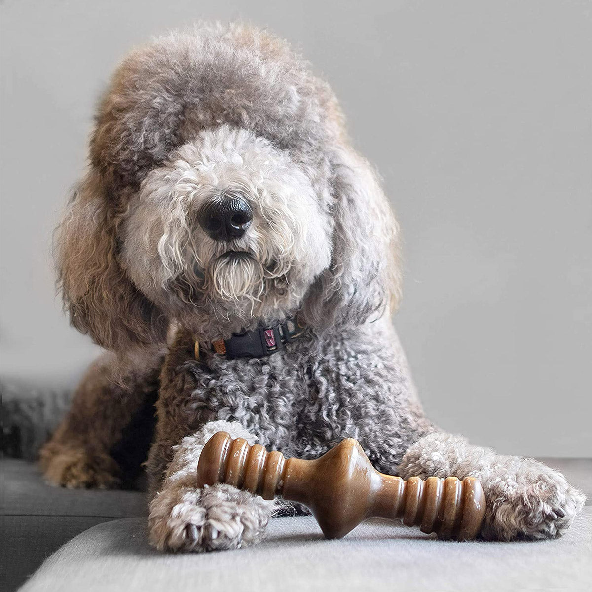 Benebone Zaggler Dog Chew Toy - Bacon