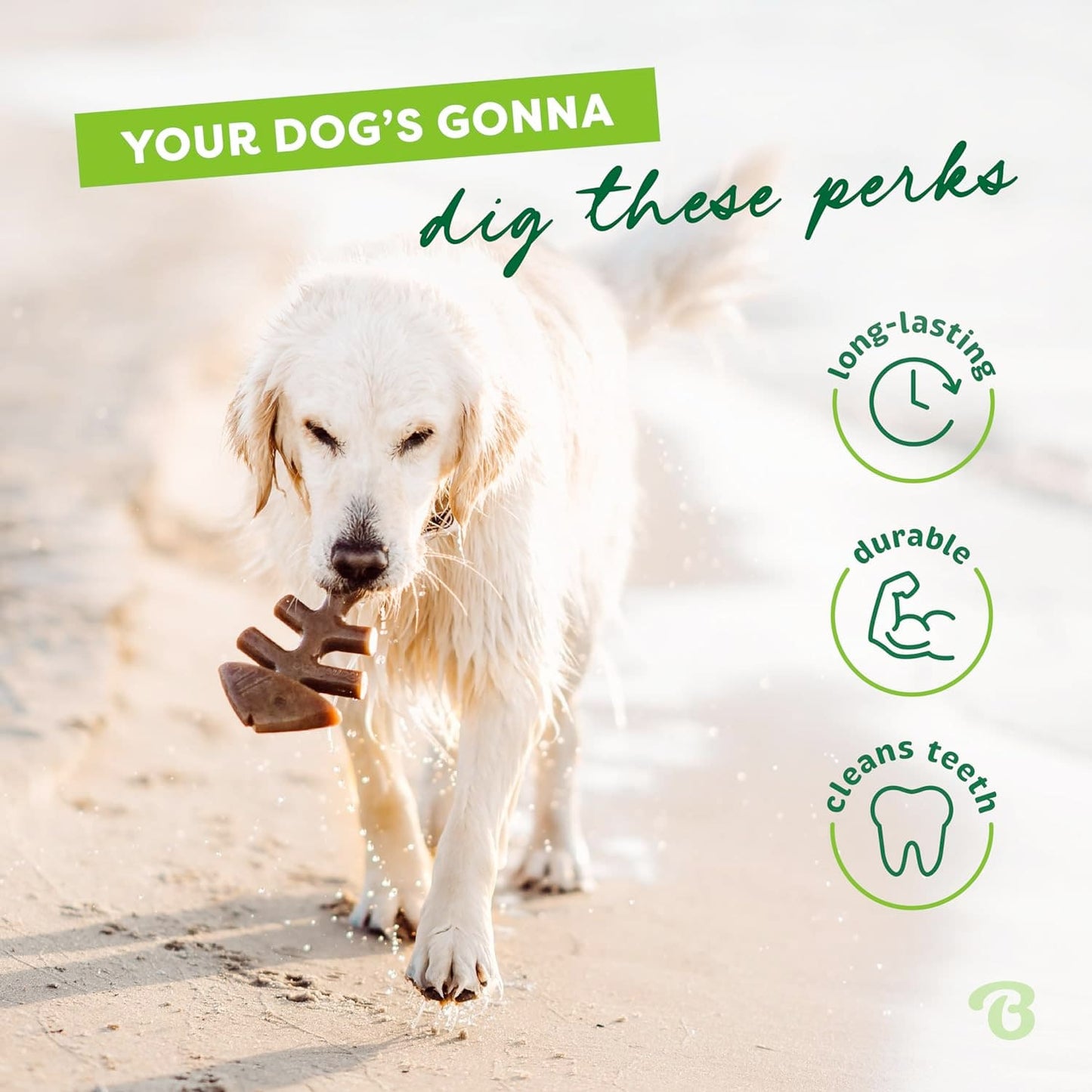 Benebone Dental Chew Fishbone Jack Salmon (Tiny) - 2 pack