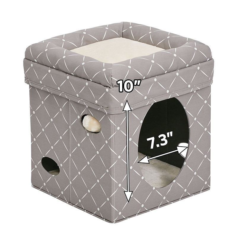 Curious Cat Cube - Mushroom