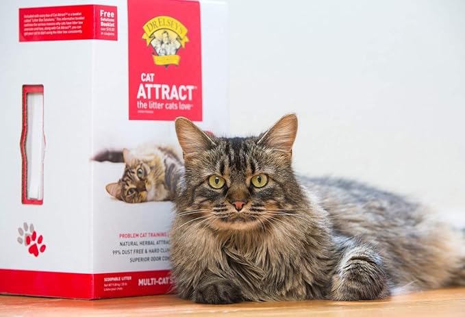 Dr. Elsey’s Precious Cat Attract Training Litter (9.1 kg)