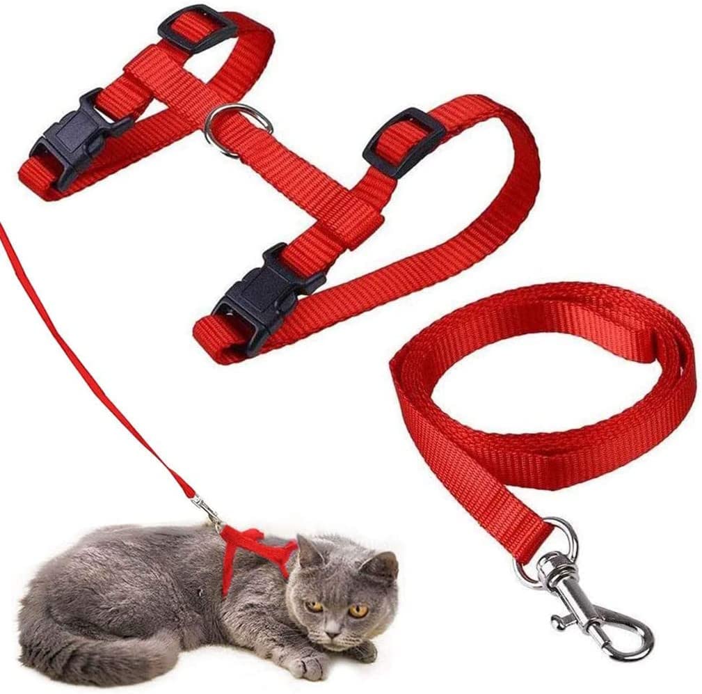 Cat Harness and Leash