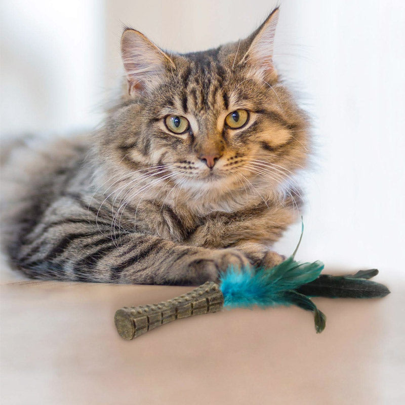 Catnip "Johnny Sticks" with Natural Feather (Green)