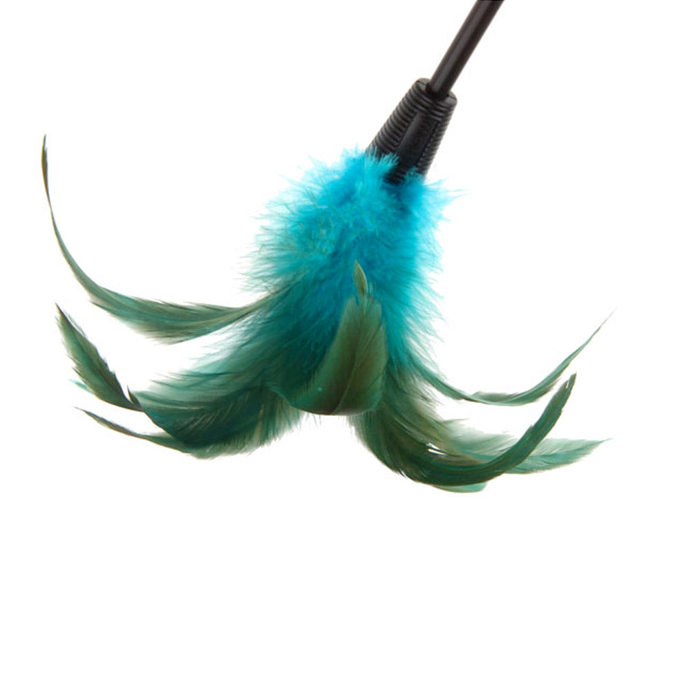 Catwand Feather Teaser w/ Natural Feather  & TPR Handle
