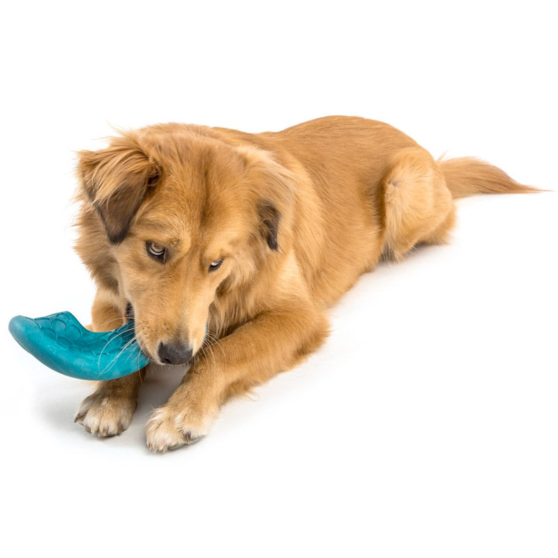 Westpaw Design Dash Dog Frisbee