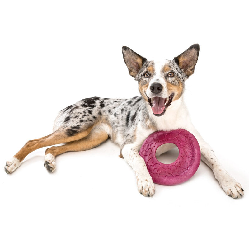 Westpaw Design Dash Dog Frisbee
