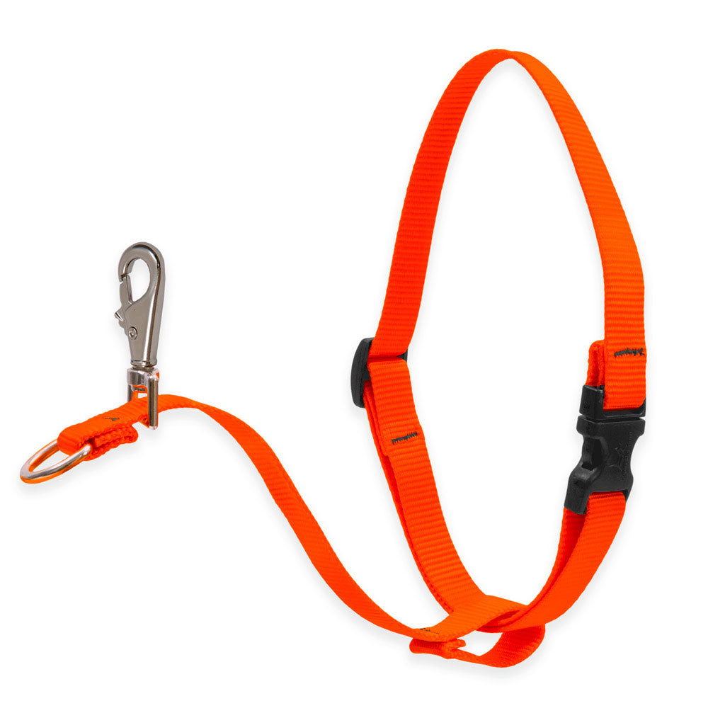 Dog Basic Solids No Pull Harness - Orange, 3/4" width - 16" -26"