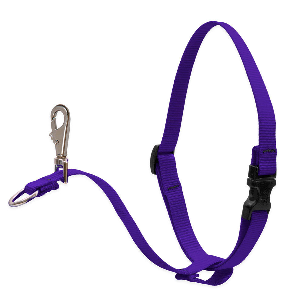 Dog Basic Solids No Pull Harness - Purple, 1" width - 26" -38"