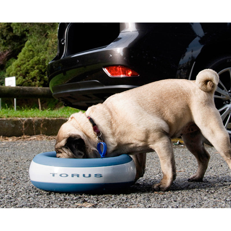 Dog Bowl Blue Torus ( 2L )