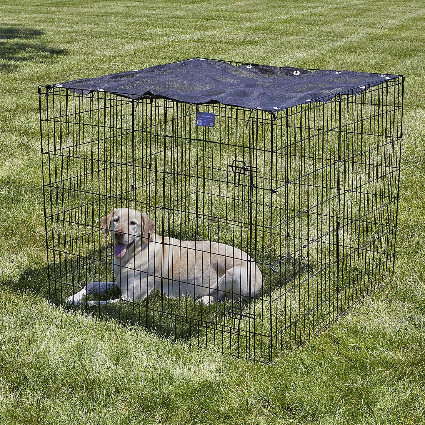 Exercise Pen Sunscreen 4x4