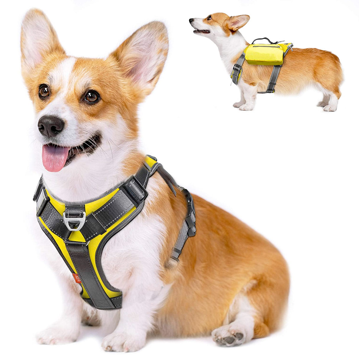 Fida Dog Harness - Yellow - M