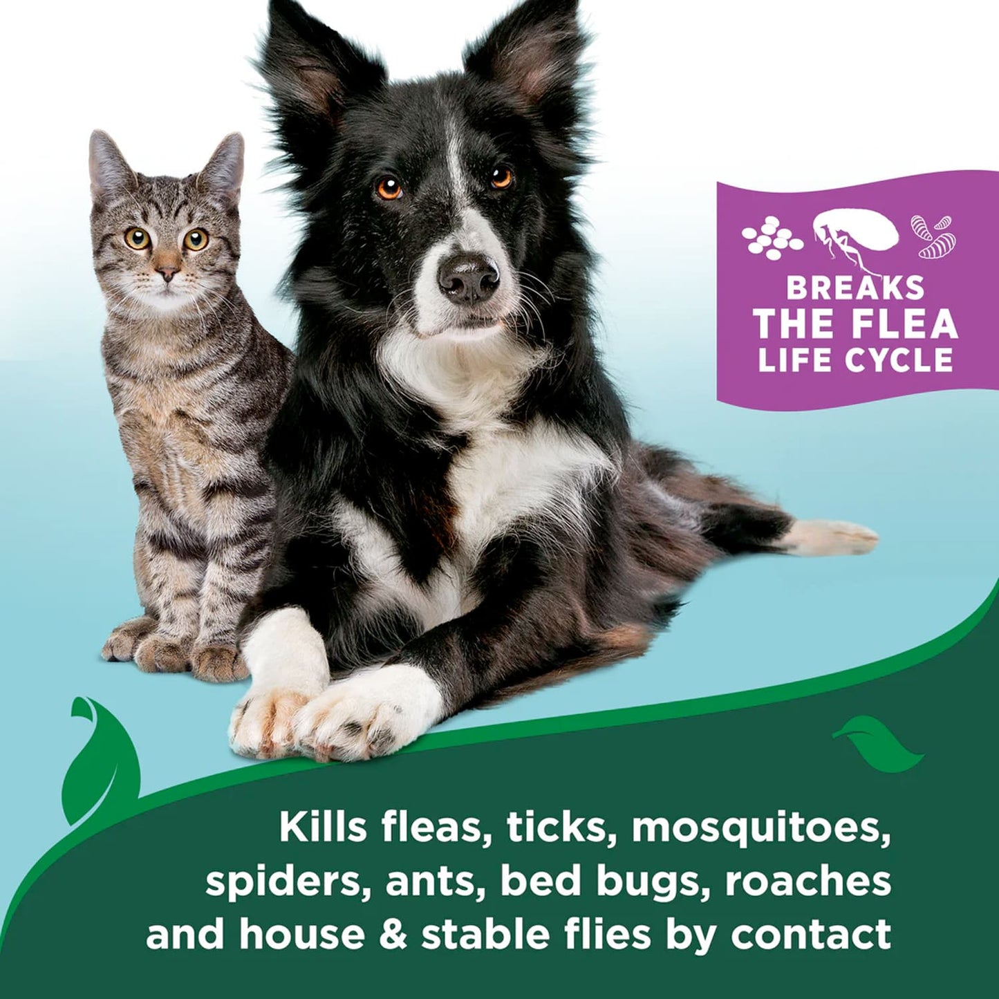 Vet's Best Flea and Tick Cat Easy Spray – Cotton Spice Scent, 14 oz.