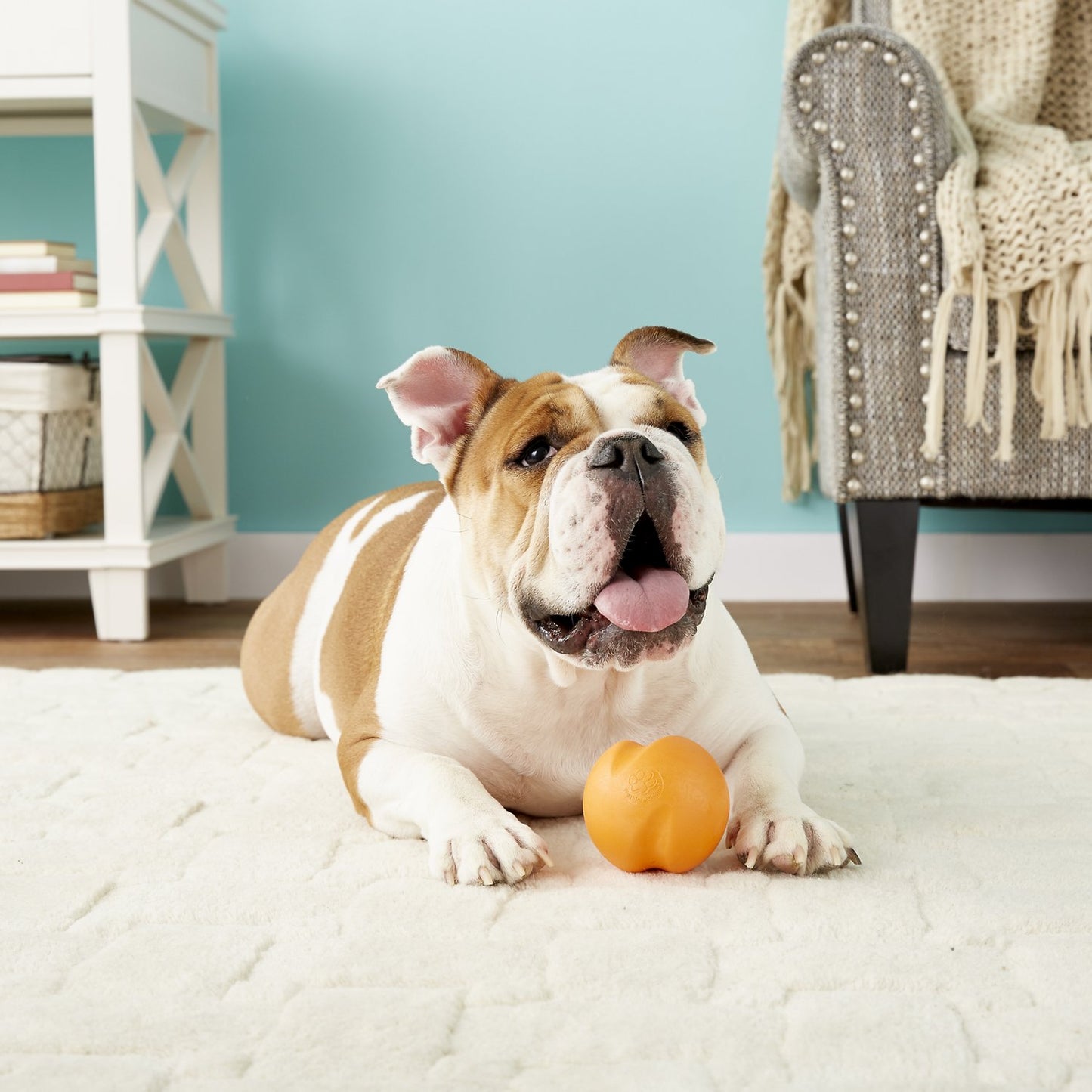Westpaw Design Jive Dog Ball