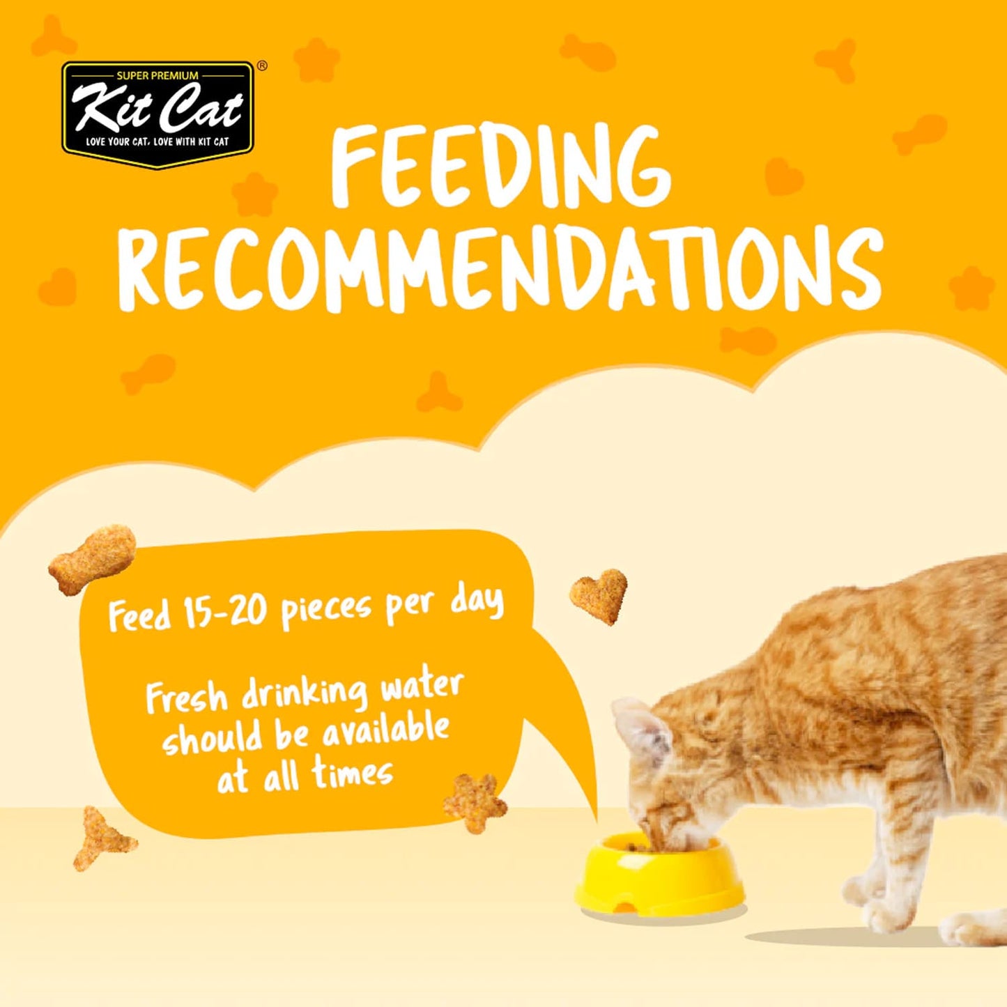 Kit Cat Kitty Crunch Chicken Flavor 60g