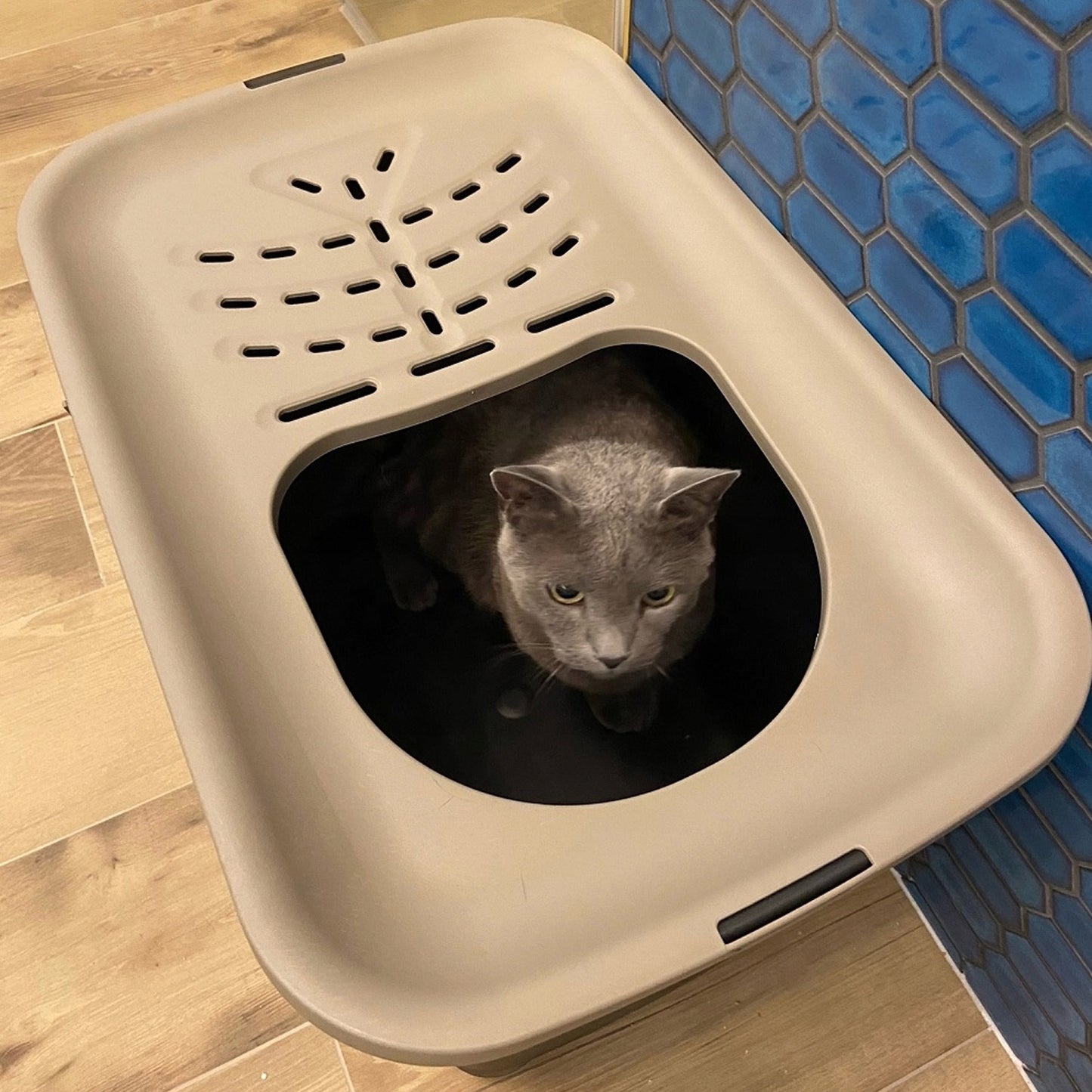 MICIA litter box for cats, Hop-In type with top entry (58x38x40cm)