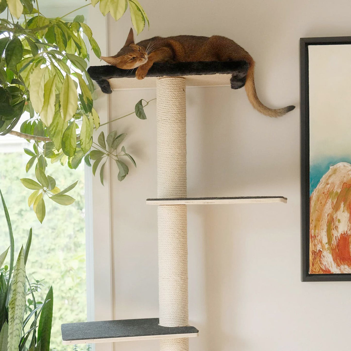 Noba Origin Mural Complete Kit