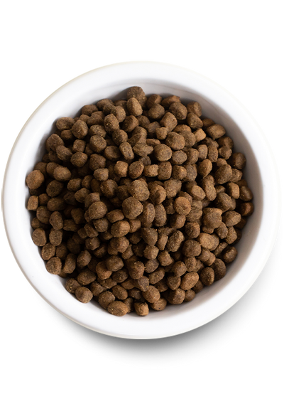 Open Farm Grain Free Catch of the Season Whitefish Dry Dog Food