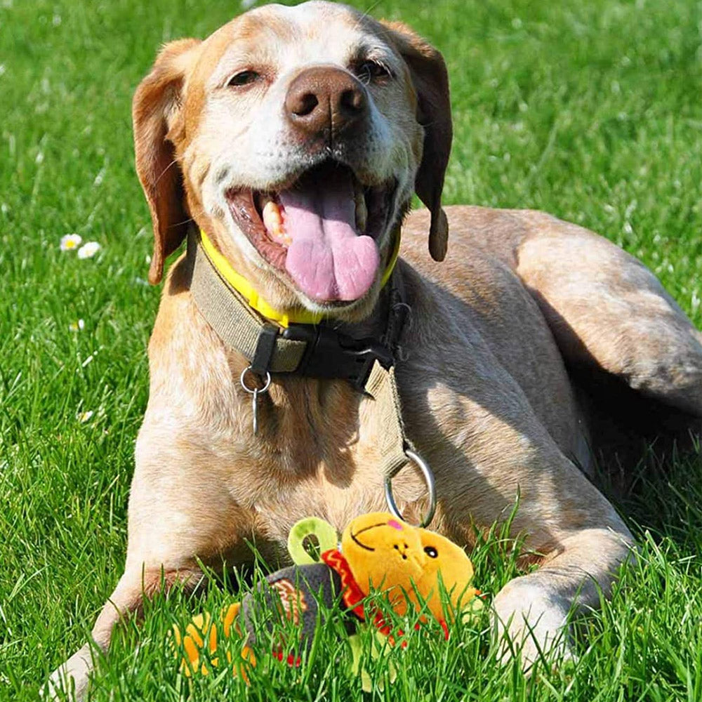 Gigwi Plush Friendz Dog Toy - Lion