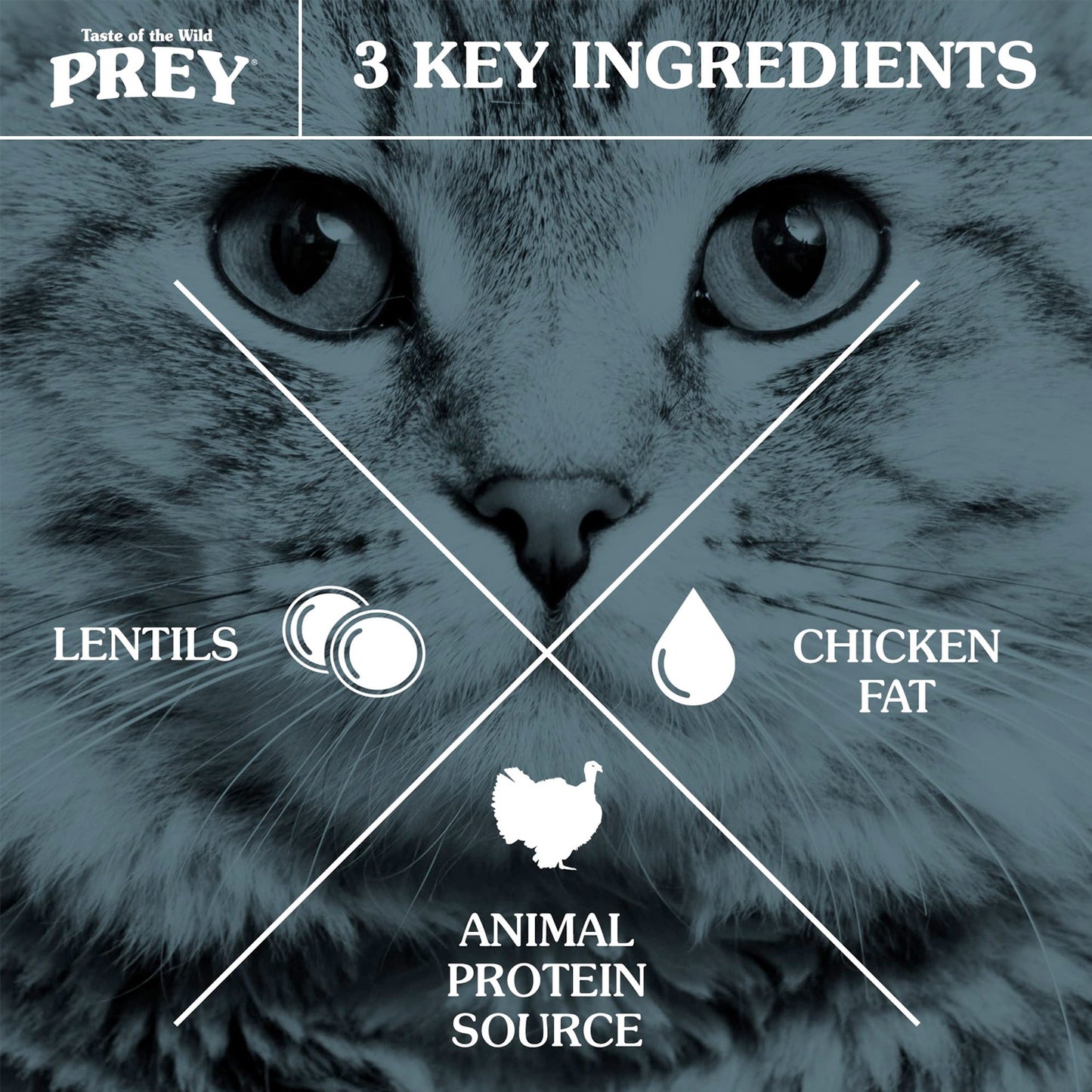 PREY Angus Beef Limited Ingredient Formula for Cats - 6.8kg(15 lbs)