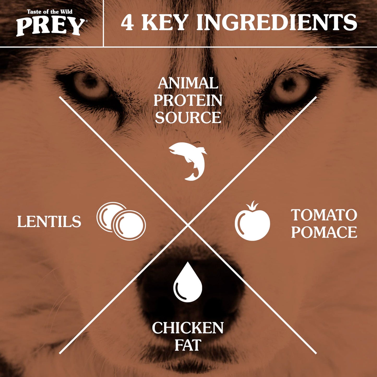 PREY Trout Limited Ingredient Formula for Dogs