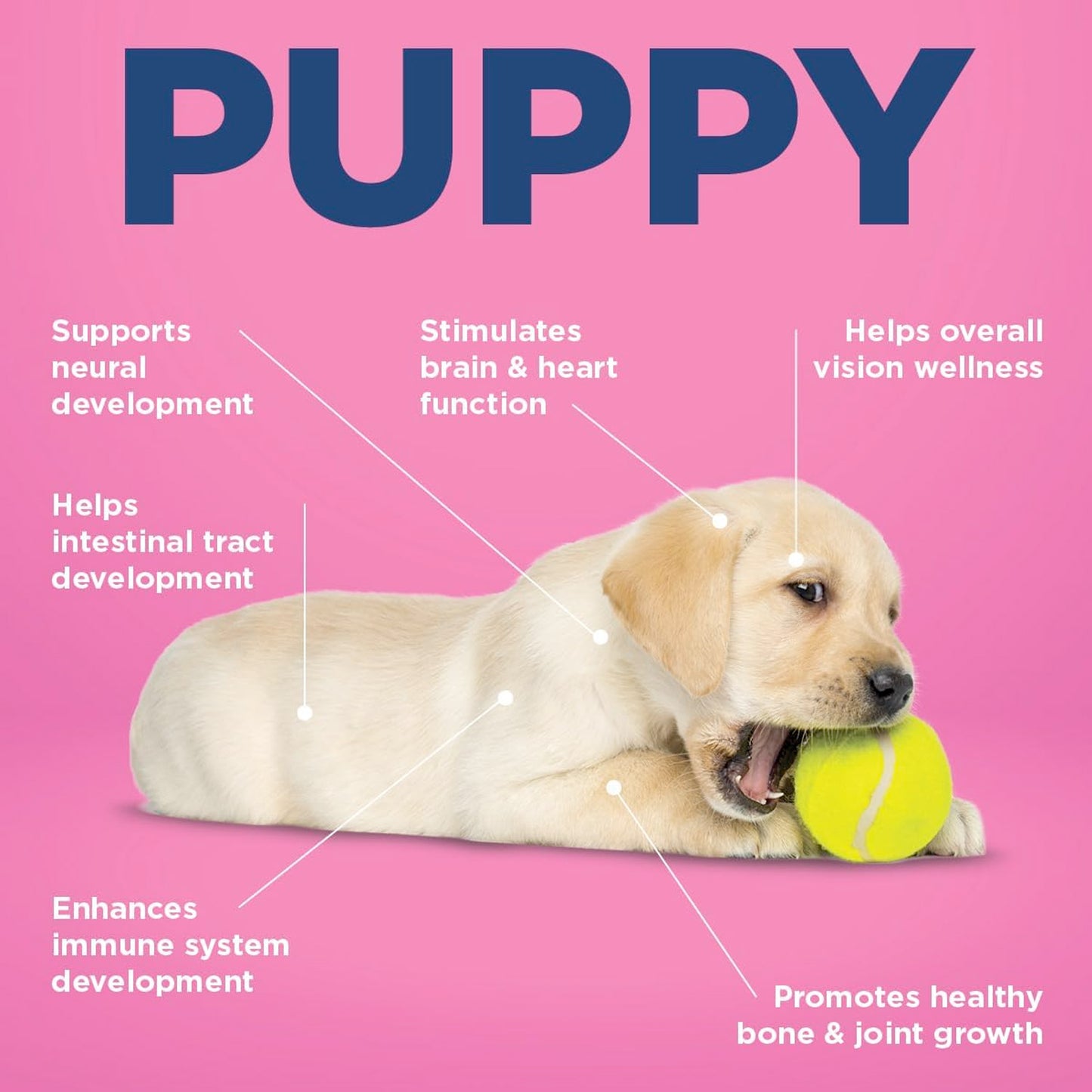 Vetericyn® ALL-IN Dog Supplement - Puppy