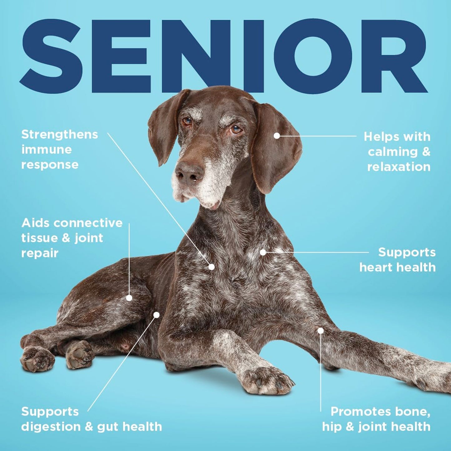 Vetericyn® ALL-IN Dog Supplement - Senior