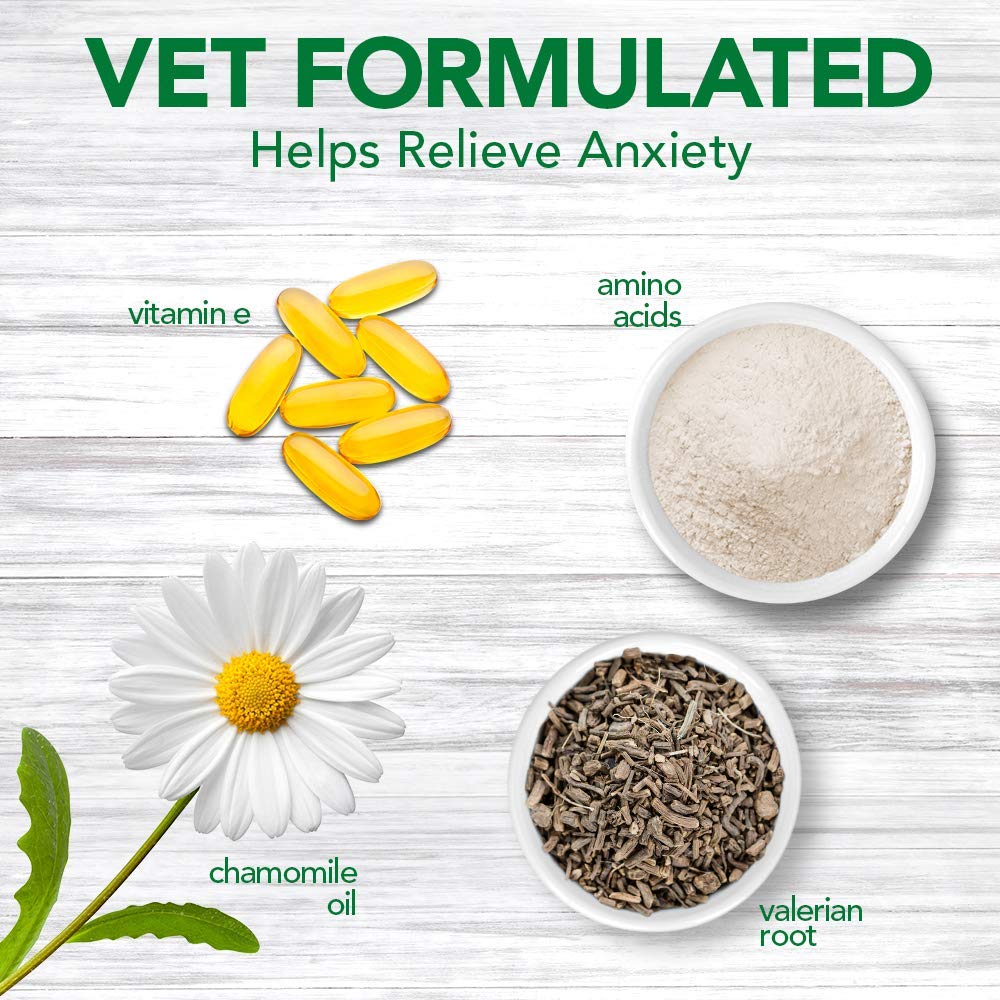 Vet’s Best Comfort Calm Gel