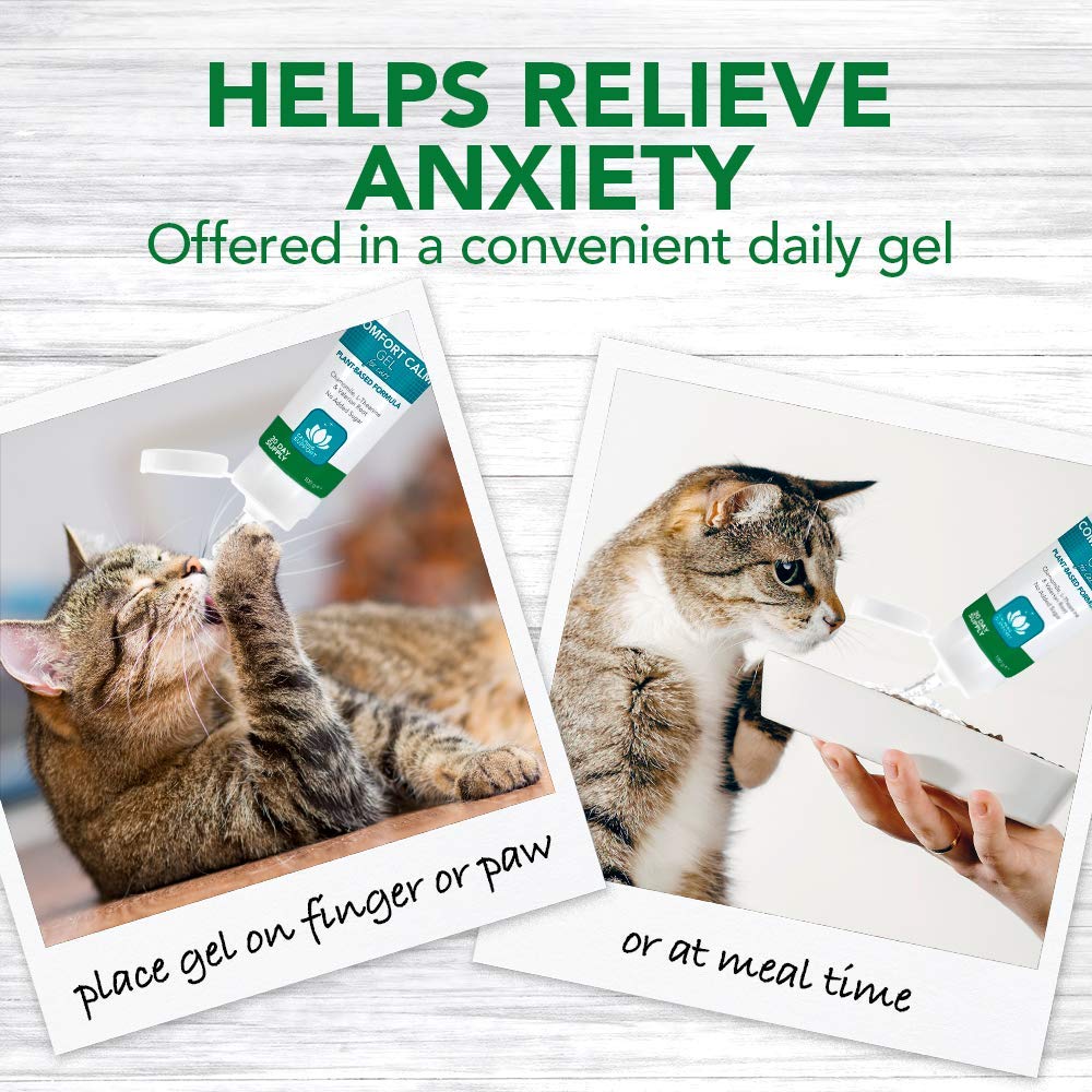 Vet’s Best Comfort Calm Gel