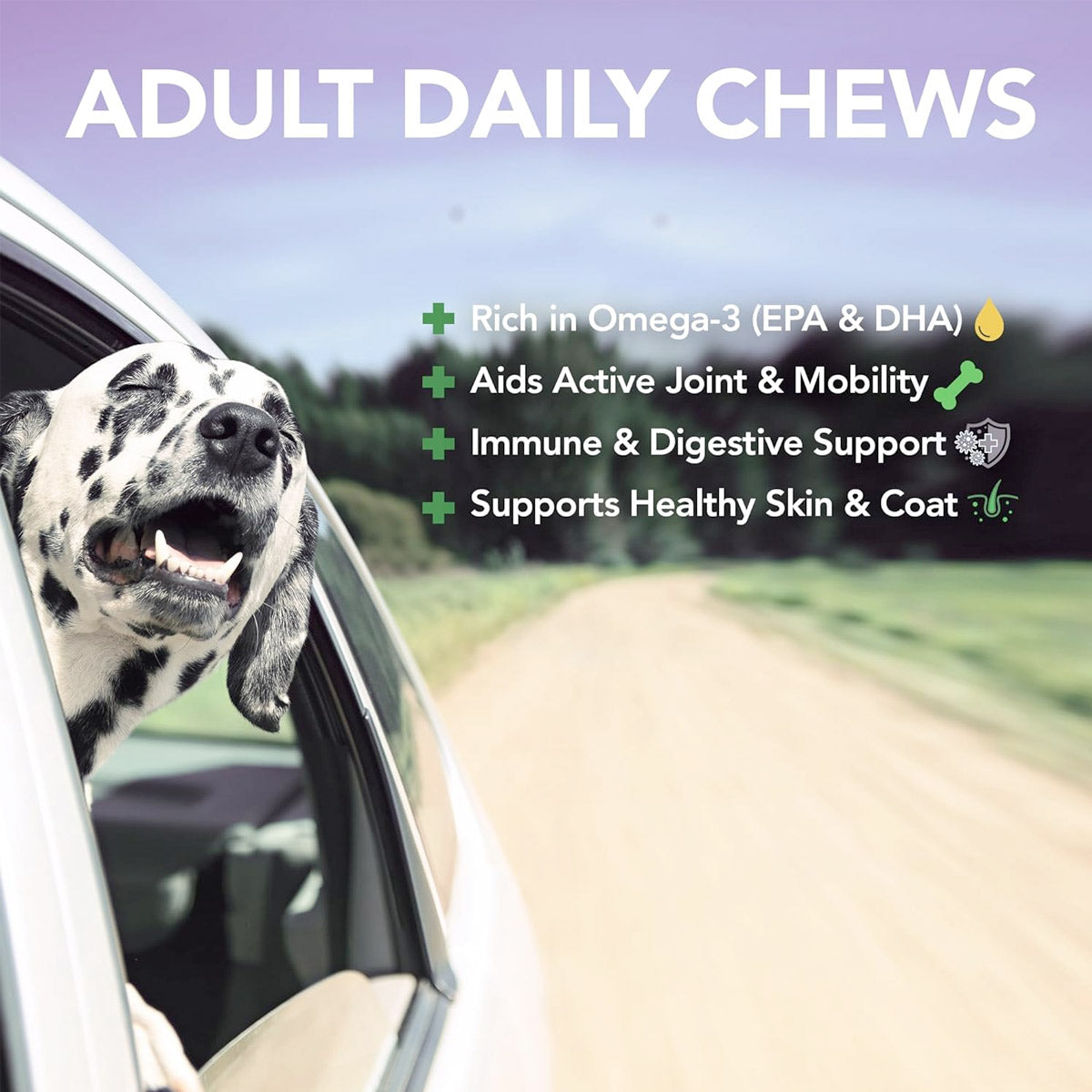 Vet's Best Daily Chews (180 Soft Chews) - Adult