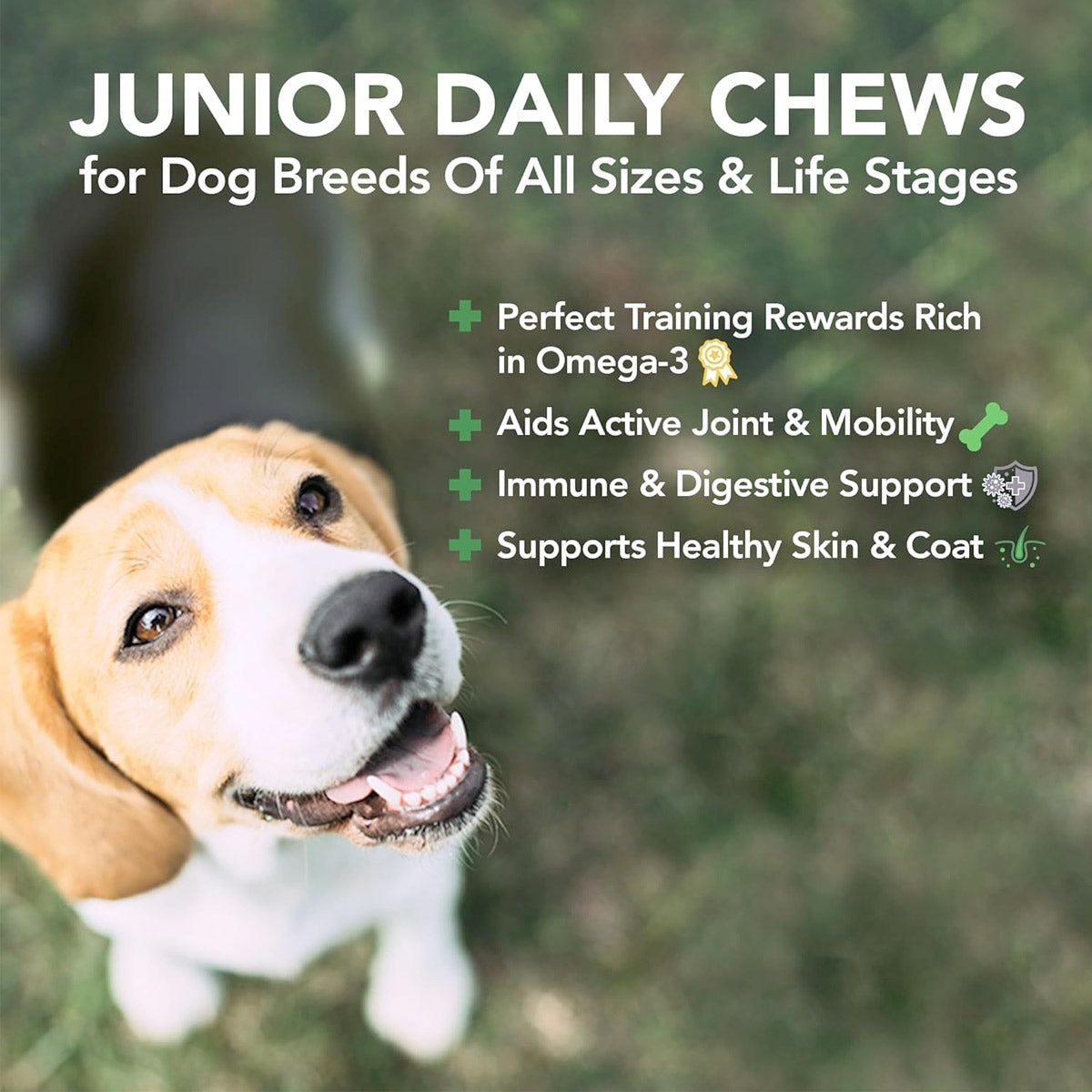 Vet's Best Daily Chews (180 Soft Chews) - Junior