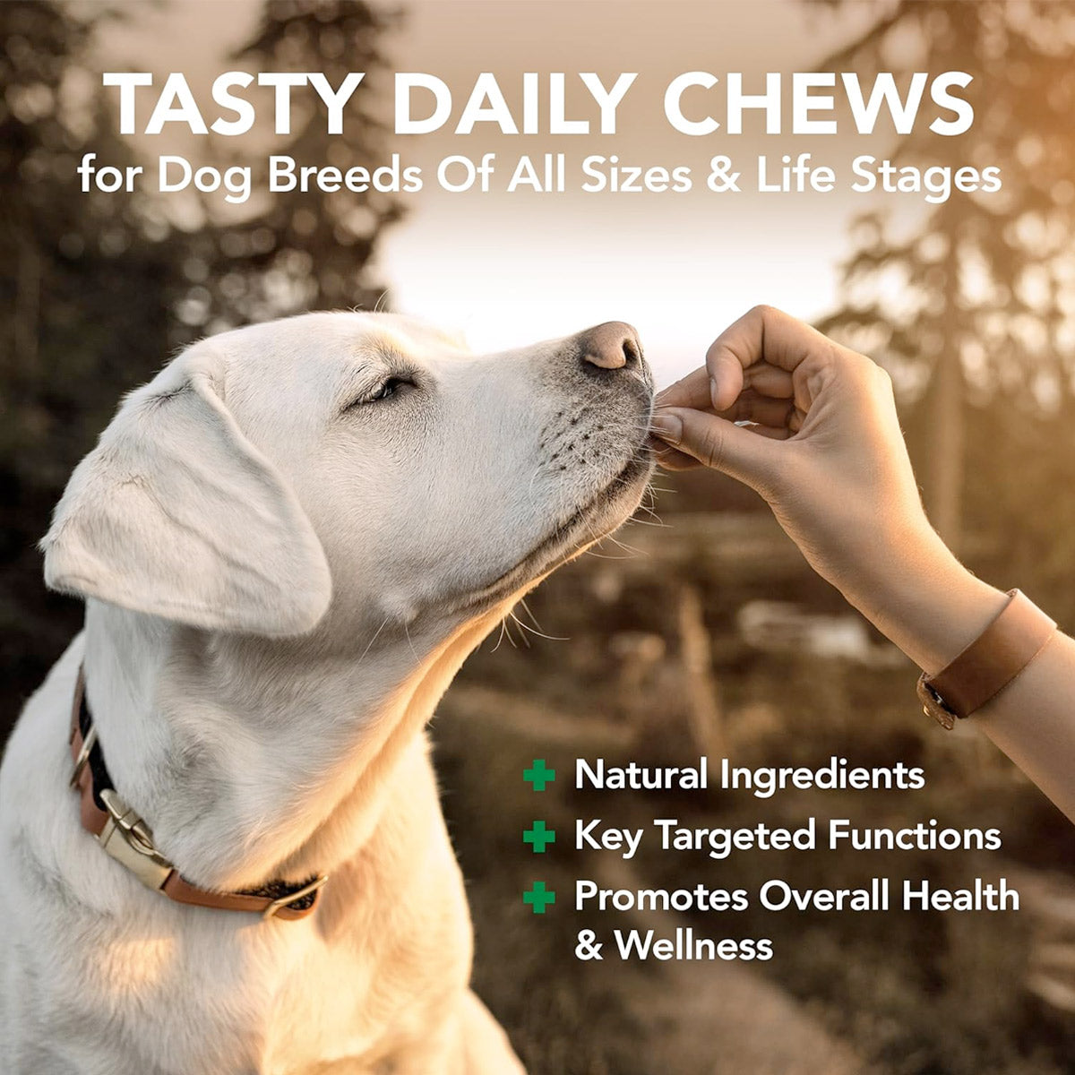 Vet's Best Daily Chews (180 Soft Chews) - Adult