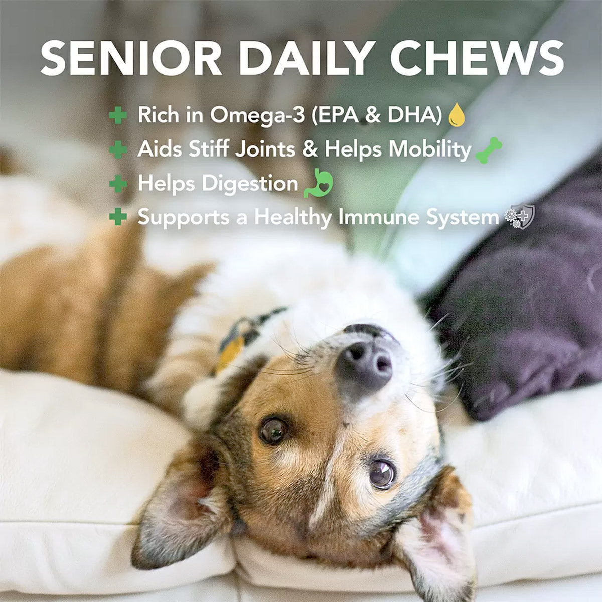 Vet's Best Daily Chews (180 Soft Chews) - Senior