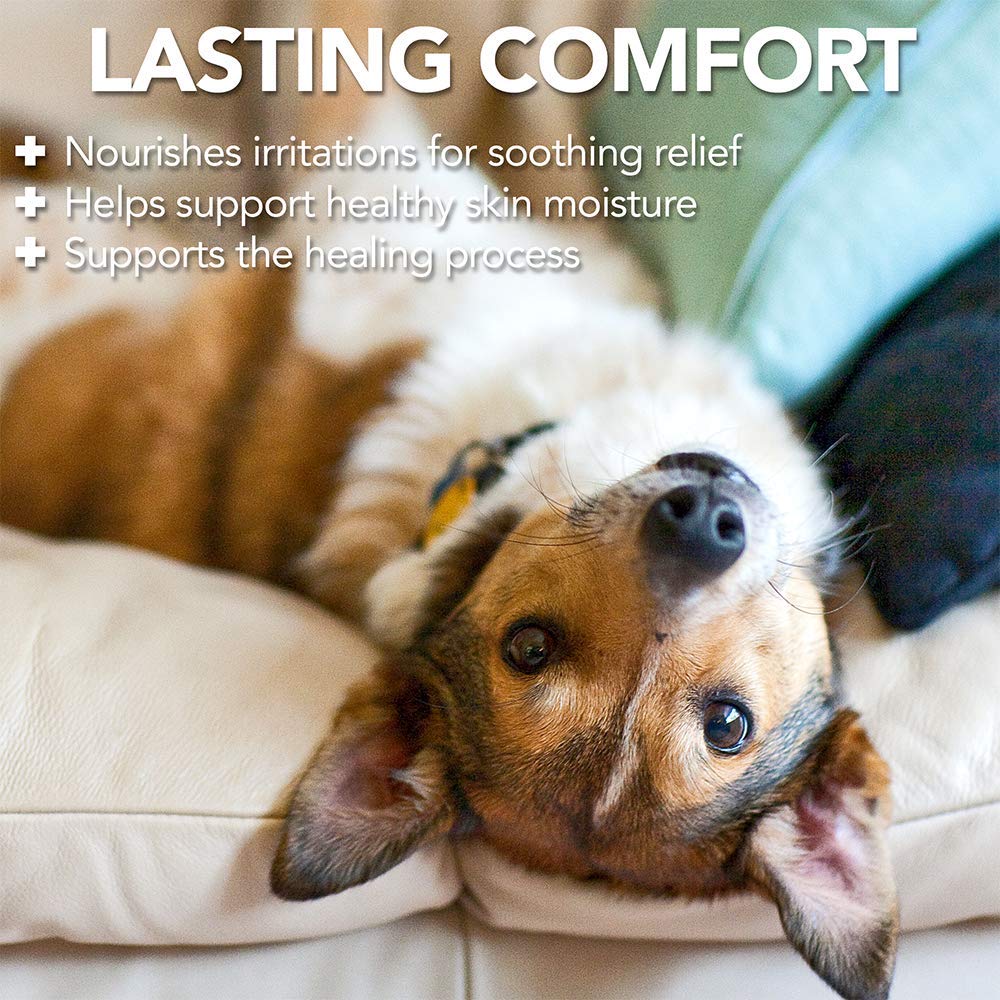 Vet's Best Dog Hot Spot Itch Relief Spray 16 oz