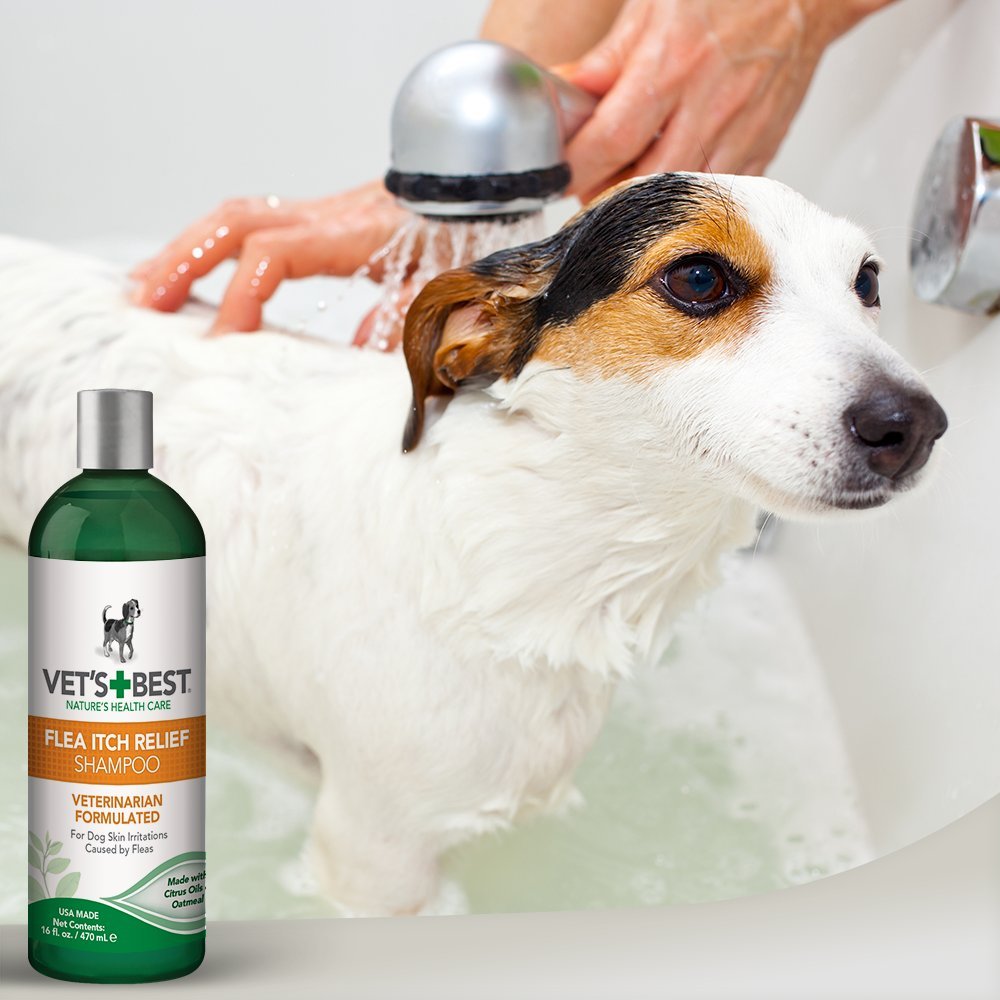 Vet's Best Flea Itch Relief Shampoo 16-oz