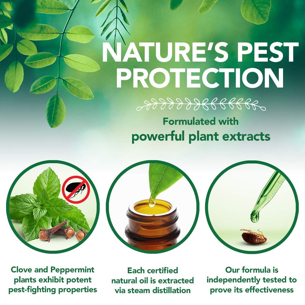 Vet's Best Flea and Tick Home Treaent Spray (8 oz)