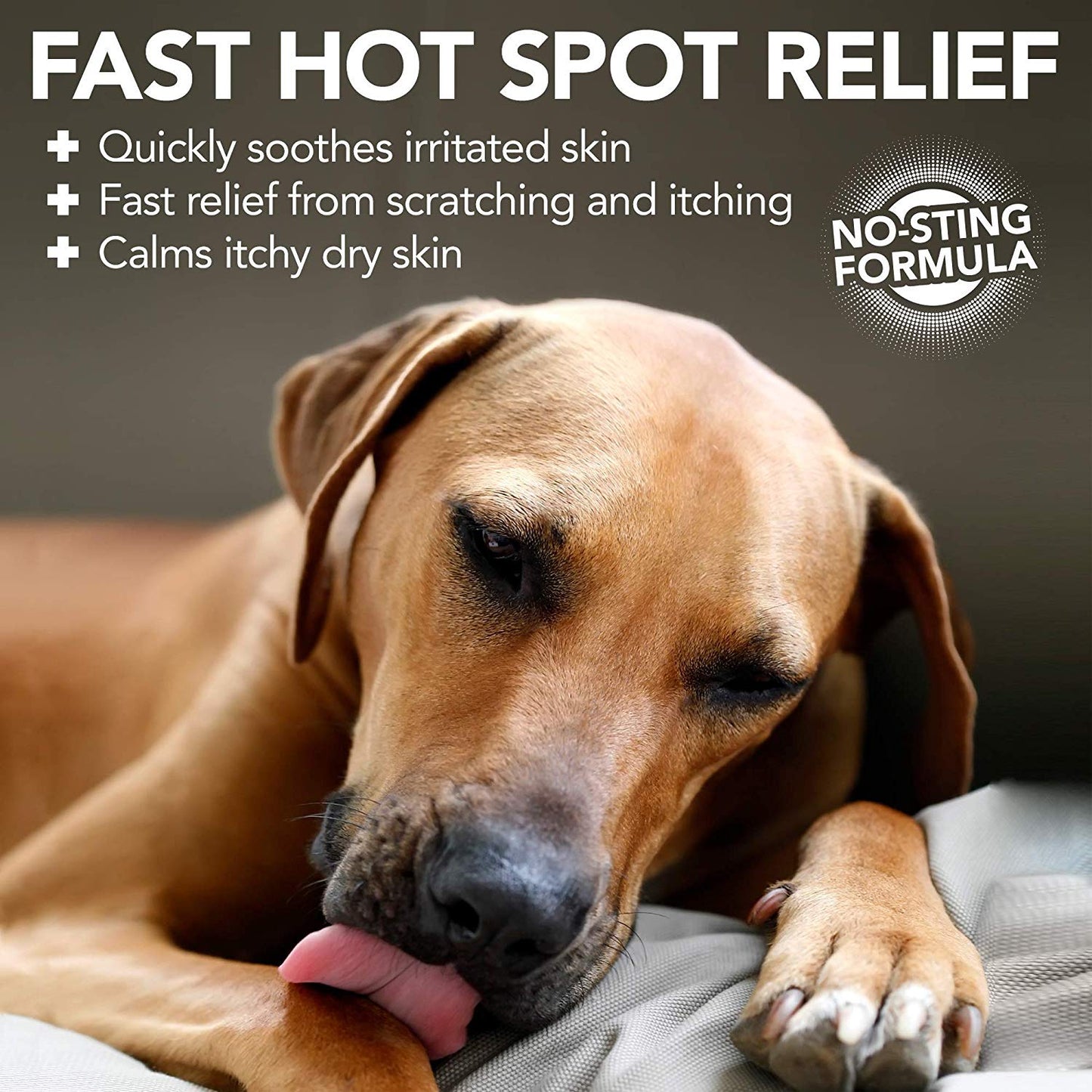 Vet's Best Hot Spot Foam (4oz)