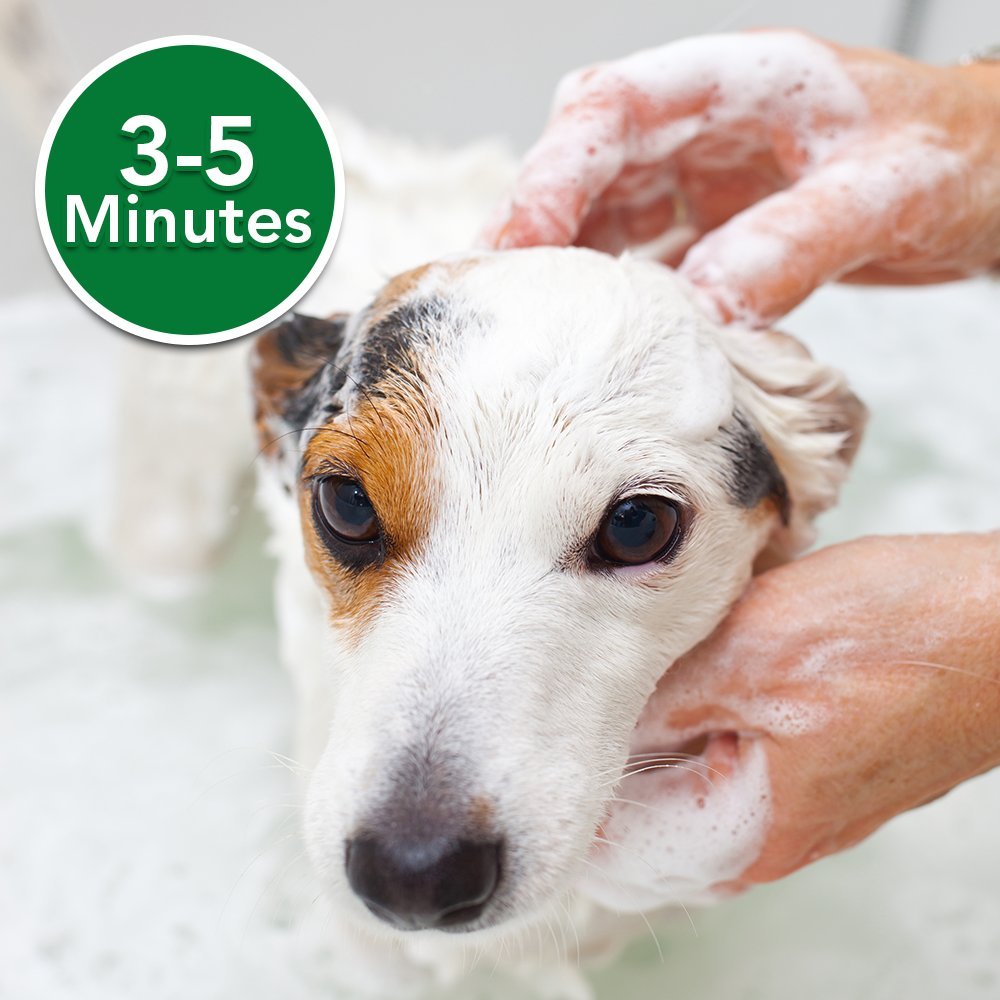 Vet's Best Hypo-Allergenic Shampoo (16oz)