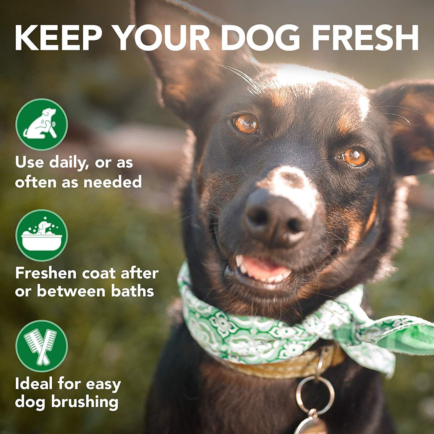 Vet's Best Moisture Mist Conditioner (16oz)