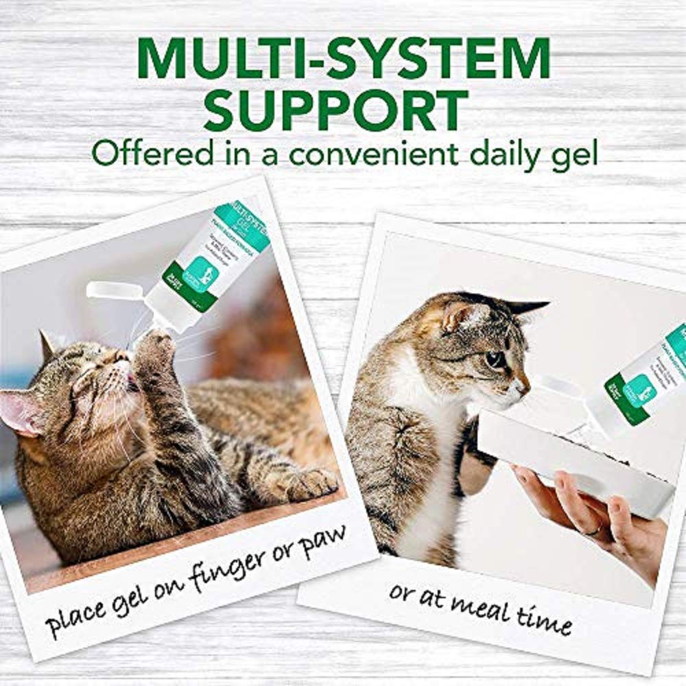 Vet’s Best Multisystem Support Gel